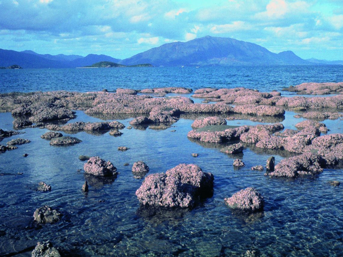 Le récif corallien frangeant de la Baie de Nouméa. © BRGM/J.-C. Chiron, 1985.