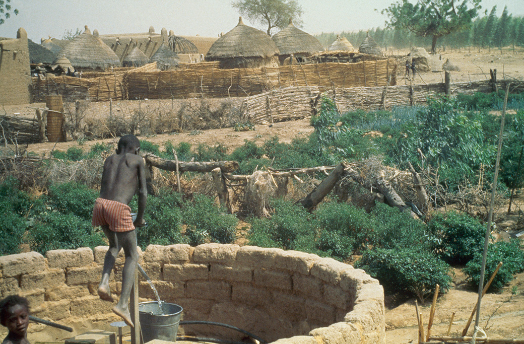 Un forage d’hydraulique villageoise avec cultures irriguées (Niger). © BRGM