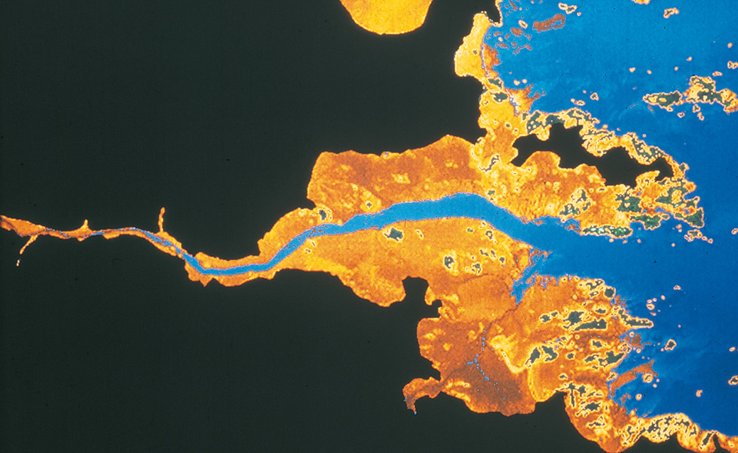 L'estran de Roscoff vu par simulation SPOT (Finistère, 1985). © BRGM - Christine King